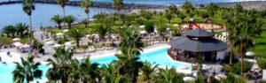 Tenerife Pool Palm Trees Sea and Sun