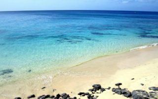 internship on Fuerteventura