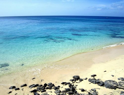 Stage à Fuerteventura – Top 10