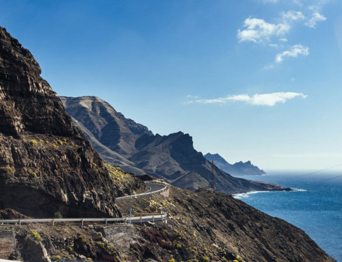 Internship Spain – top 10 of your internship on Gran Canaria