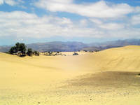 internship_on_Gran Canaria