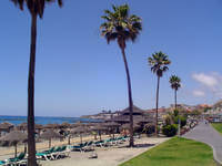 paid internship on Gran Canaria