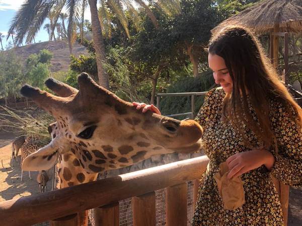 Intern with giraffe - Fuerteventura