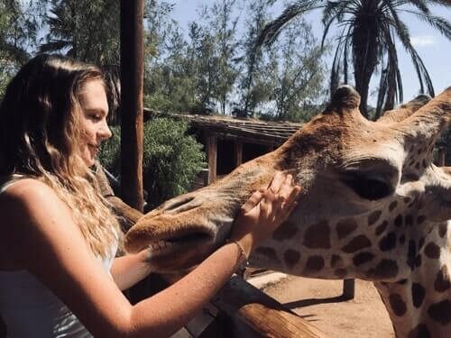 Praktikantin von Spanish Work Exchange Programme mit Giraffe im Oasis Park