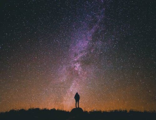 Observer les étoiles lors d’un stage à l’étranger à Ténérife