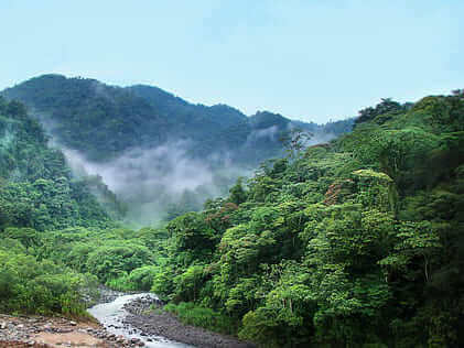Prácticas en Costa Rica – Selva Prácticas en Costa Rica - Selva