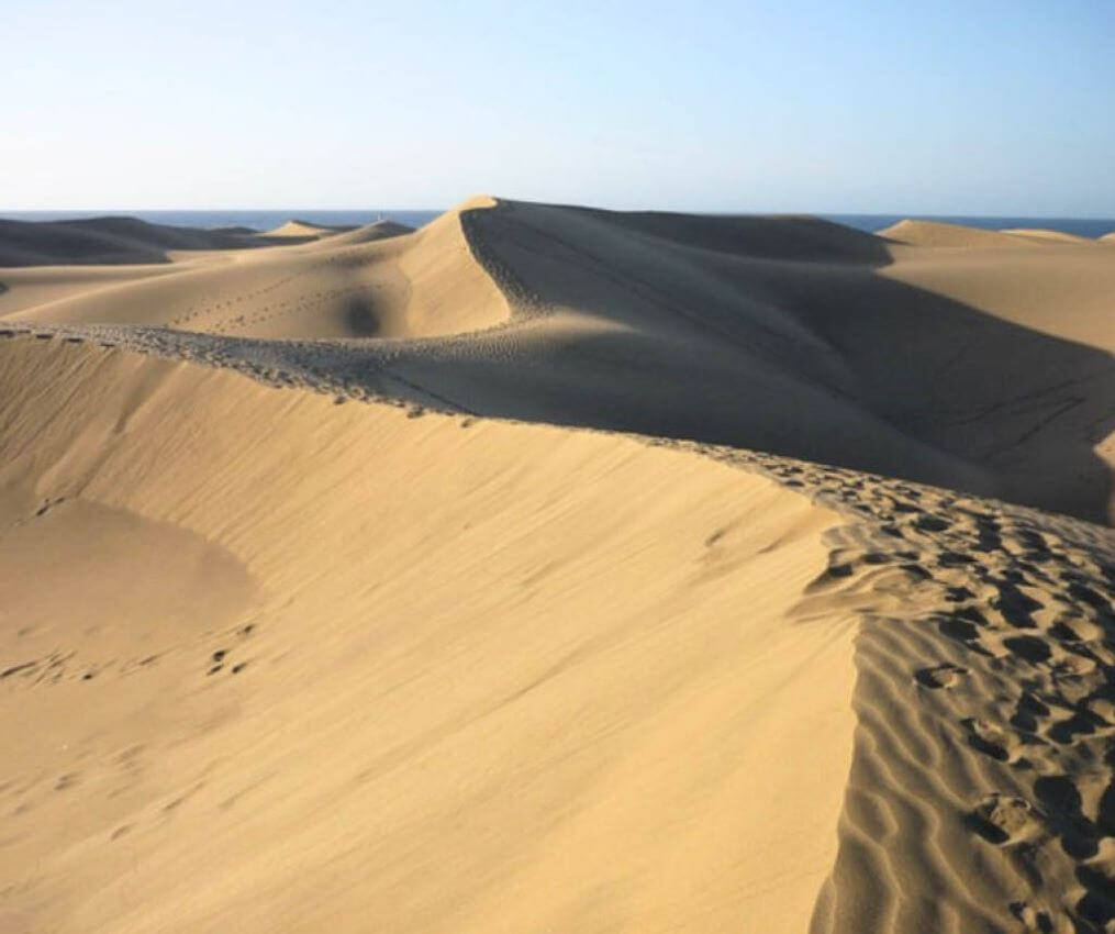 Internships Gran Canaria - Dunes of Maspalomas