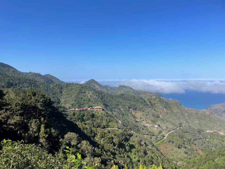 Paysage vert - Tenerife