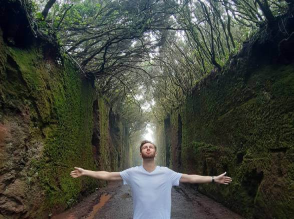 Stagiaire dans la forêt d'Anaga