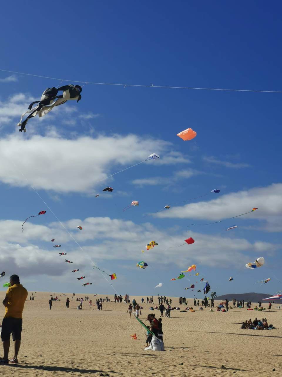 Fai volare un aquilone sulla spiaggia Fai volare un aquilone sulla spiaggia