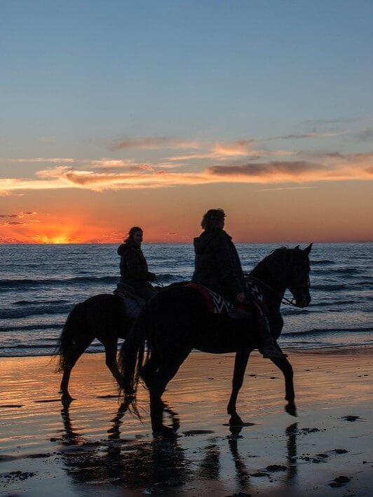 Paseos a caballo al atardecer Paseos a caballo al atardecer
