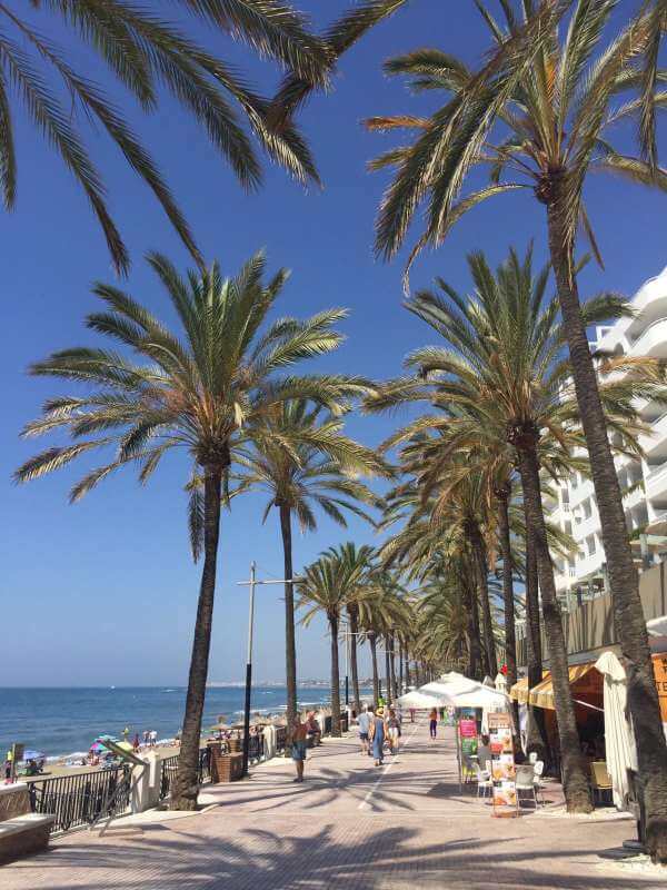 Gold Mile Marbella Internship Gold Mine Marbella Internship