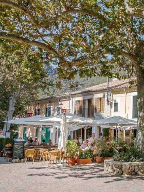 Internship Mallorca Valldemossa Internship Mallorca Valldemossa