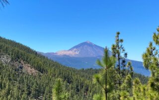 Gruppo in escursione che esplora i paesaggi di Tenerife durante un tirocinio.