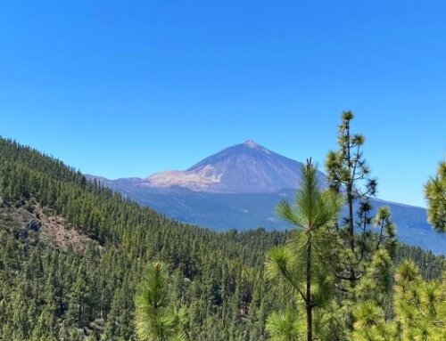 Excursiones durante vuestras prácticas en Tenerife