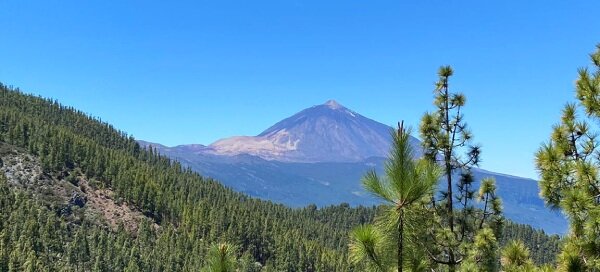 Students on an excursion in Tenerife, surrounded by mountains and ocean views.