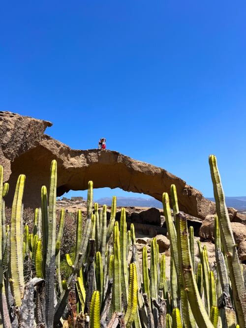 Group of S-W-E-P interns standing on the Arco de Tajao rock formation in Tenerife.