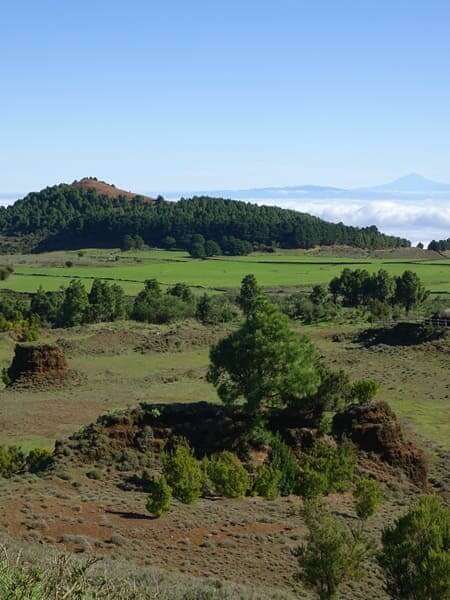 El Hierro landscape Green volcanic landscape in El Hierro with pine trees, red soil and a distant island on the horizon.