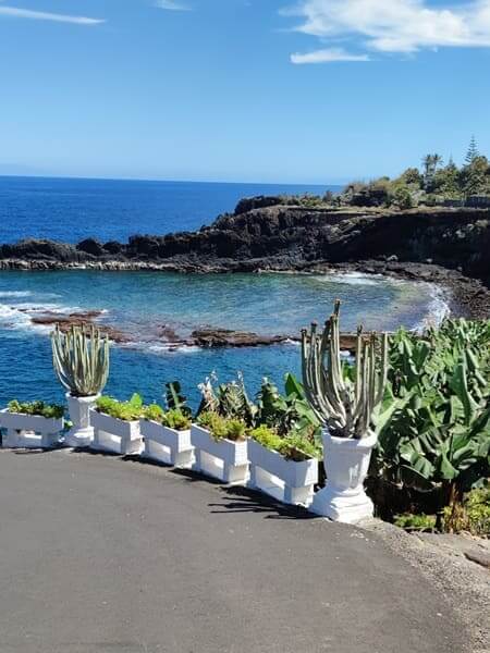 Paesaggio costiero a La Palma Paesaggio costiero a La Palma con rocce vulcaniche, oceano blu e cactus in vasi bianchi.